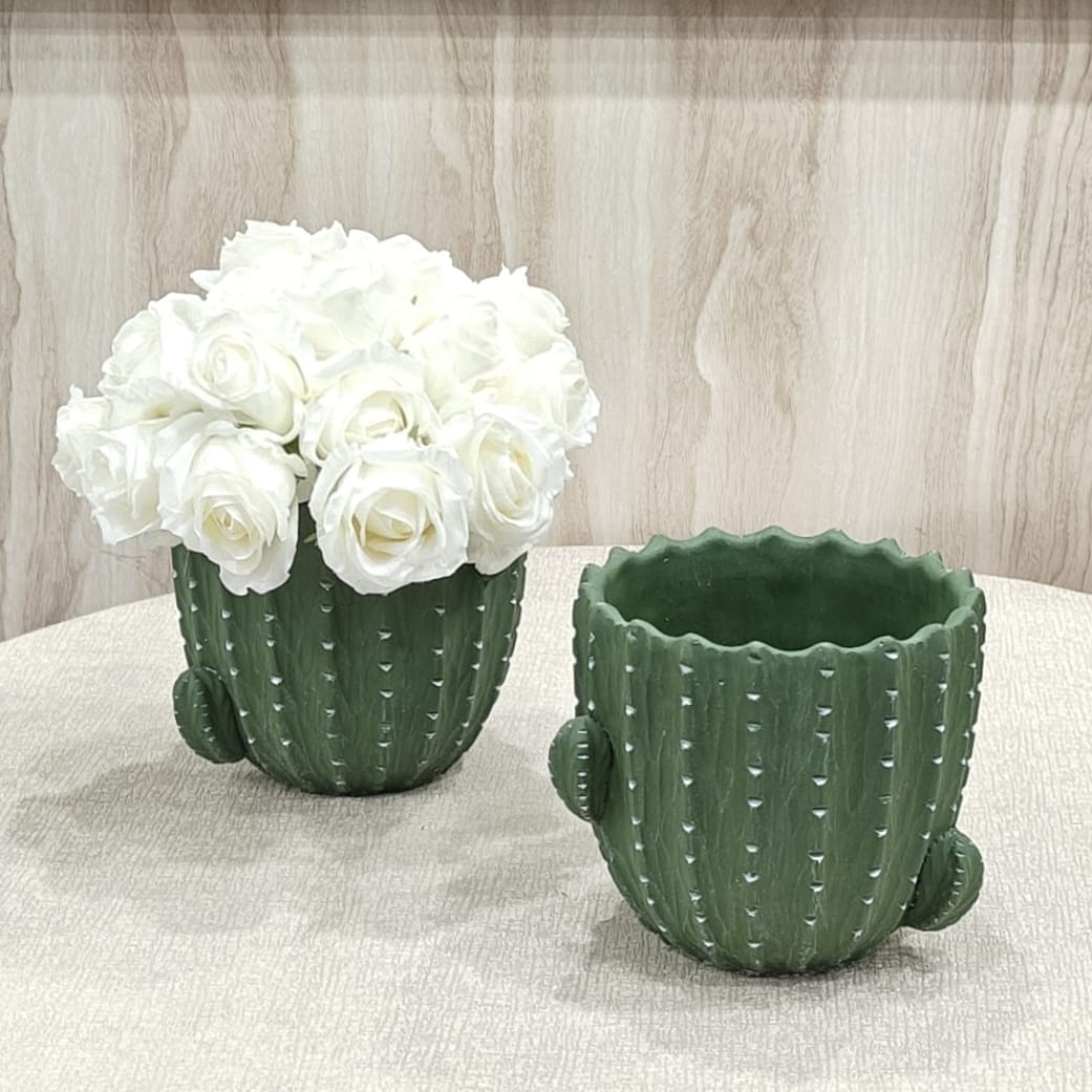 cactus pot