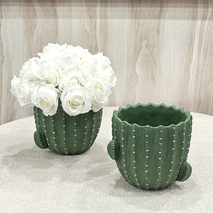 cactus  pot
