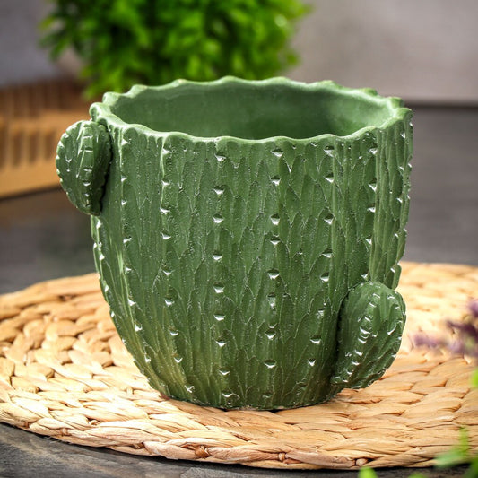 cactus  pot